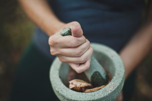 Boswellia Serrata: Timeless Remedy, Contemporary Cure?