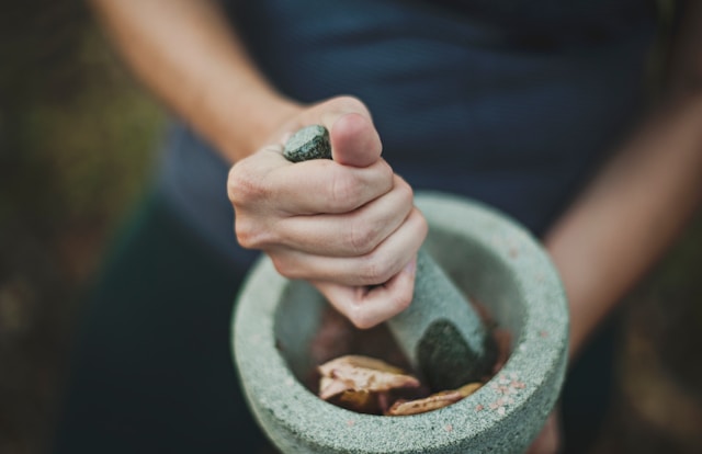 Boswellia Serrata: Timeless Remedy, Contemporary Cure?