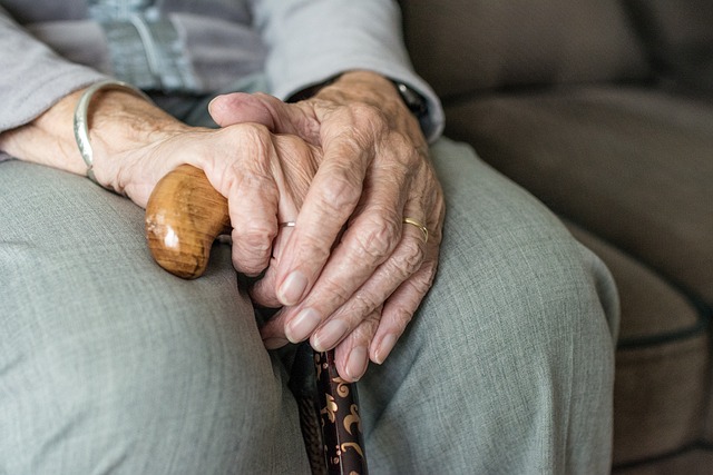 Essential Approaches to Quality Senior Care and Independence