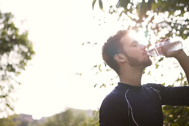 Optimizing Your Workout